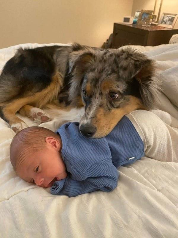 Life Is Beautiful (53 pics)