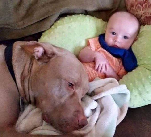 Life Is Beautiful (53 pics)