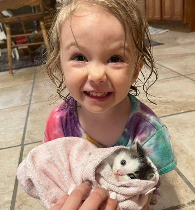 Life Is Beautiful (53 pics)