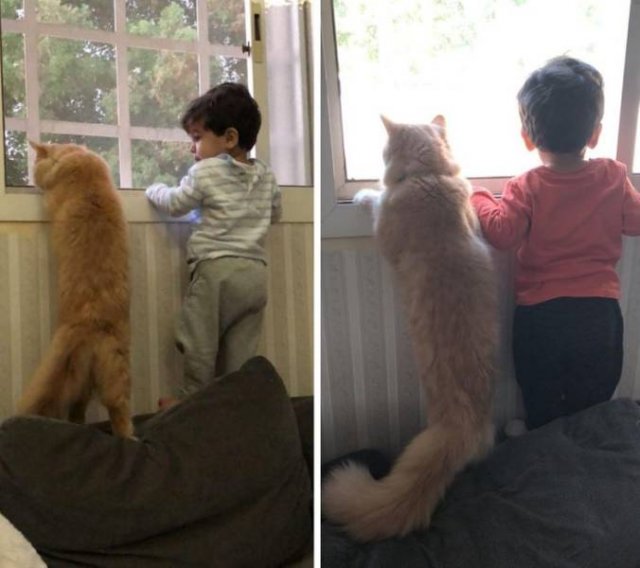 Life Is Beautiful (53 pics)