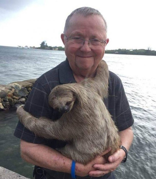 Life Is Beautiful (53 pics)