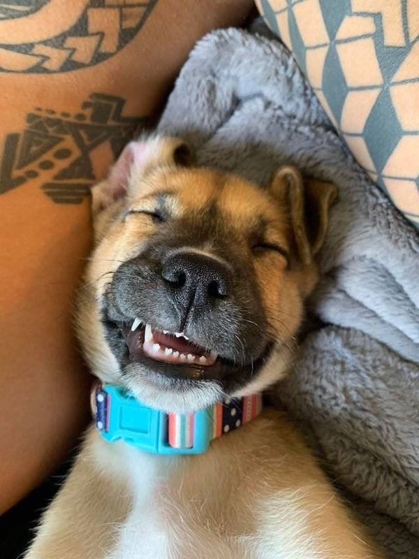 Life Is Beautiful (53 pics)