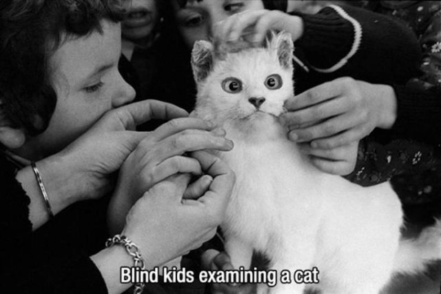 Life Is Beautiful (53 pics)
