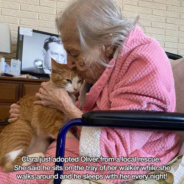 Life Is Beautiful (53 pics)