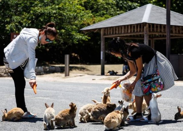 Life In Japan (15 pics)