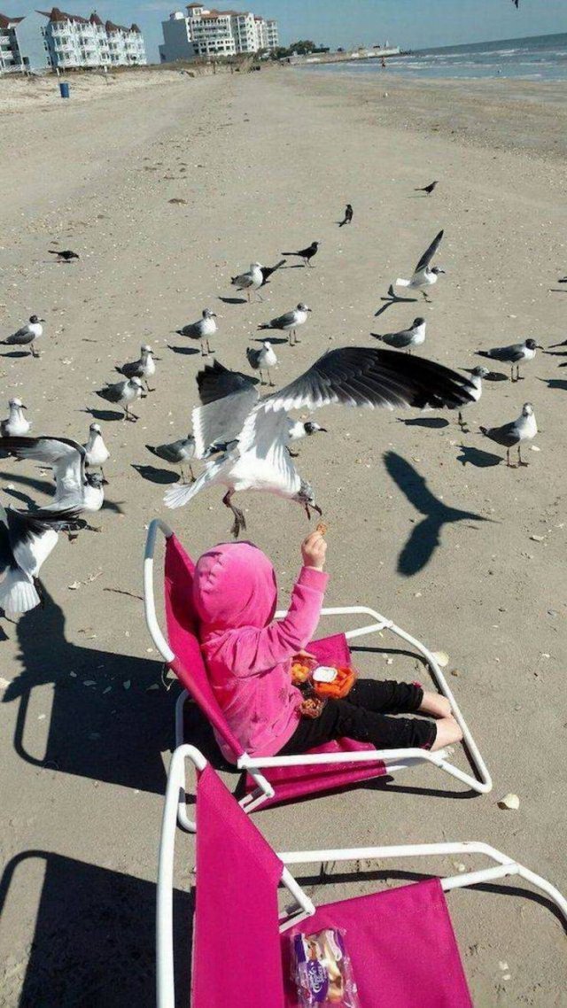 Acid Picdump 1 (85 pics)