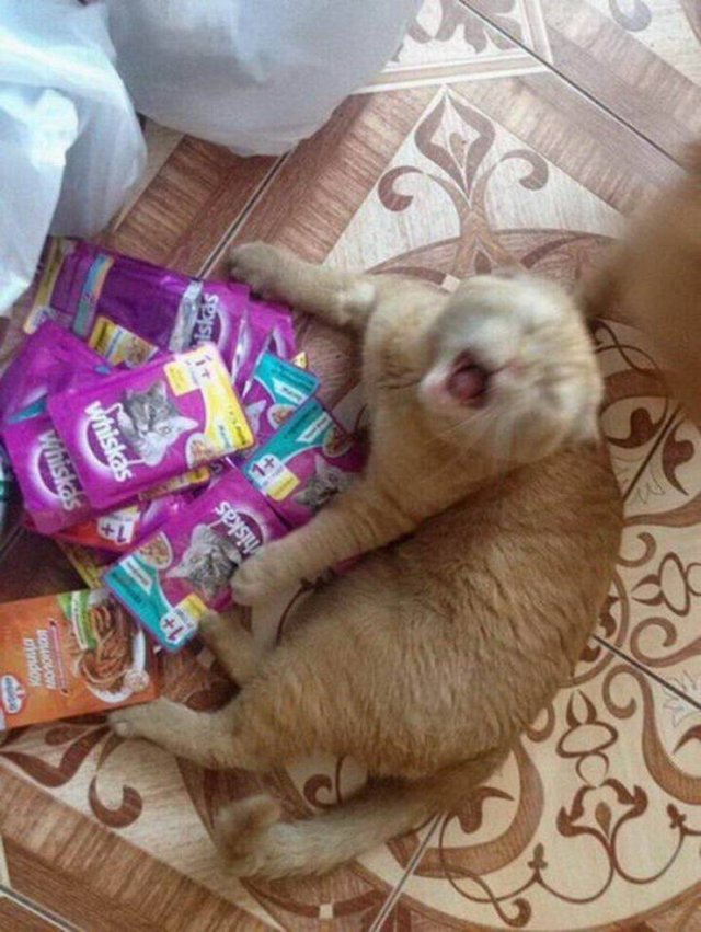 Acid Picdump 1 (85 pics)