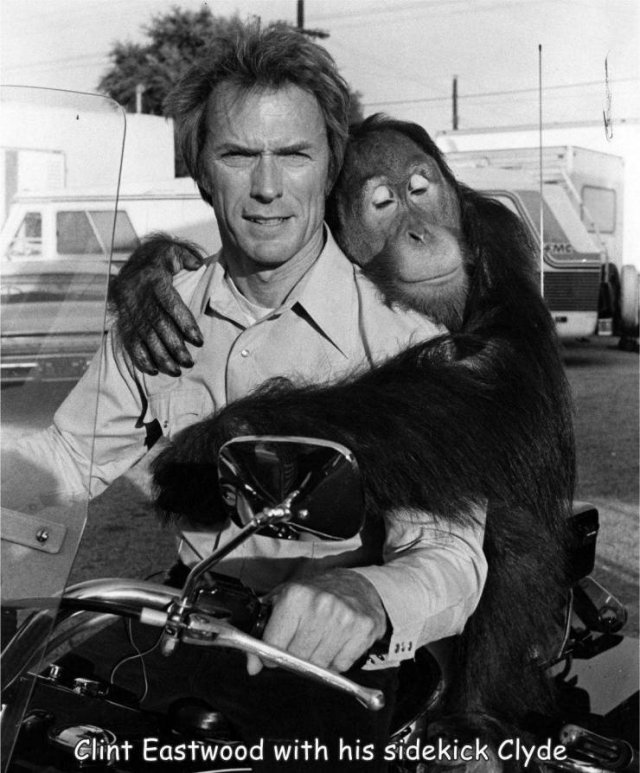 Acid Picdump 1 (85 pics)