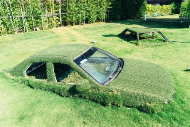 Acid Picdump 1 (85 pics)