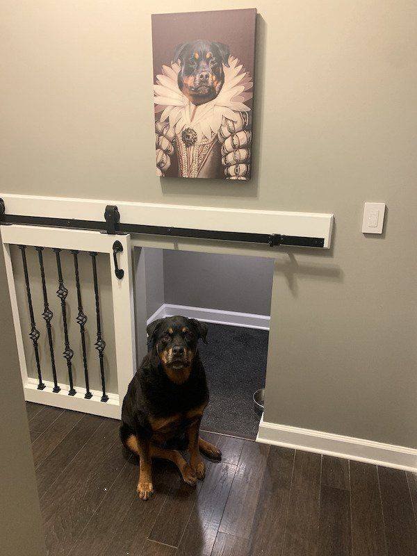 Acid Picdump 1 (85 pics)