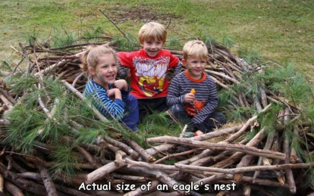 Acid Picdump 1 (85 pics)