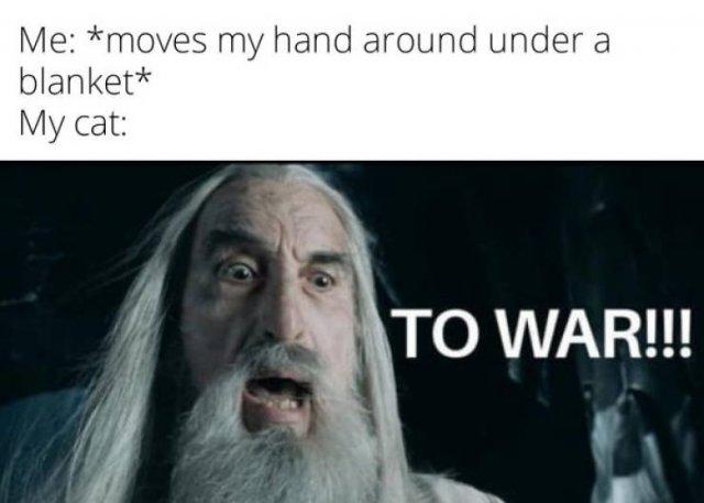 LOTR Memes (27 pics)