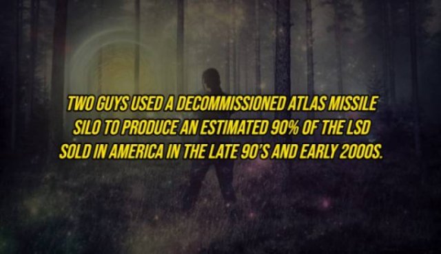 Interesting Facts (19 pics)