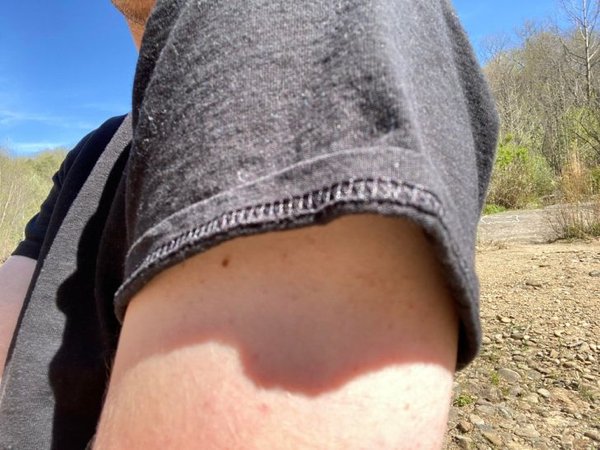 These People Need Punishment (20 pics) These People Need Punishment (20 pics)