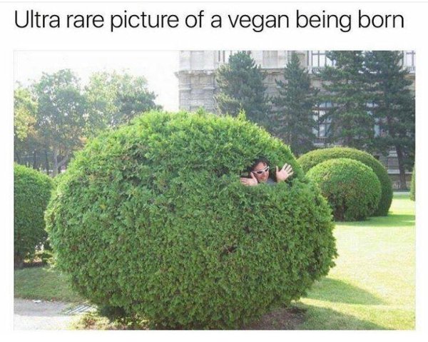 Random Funny Memes (32 pics)