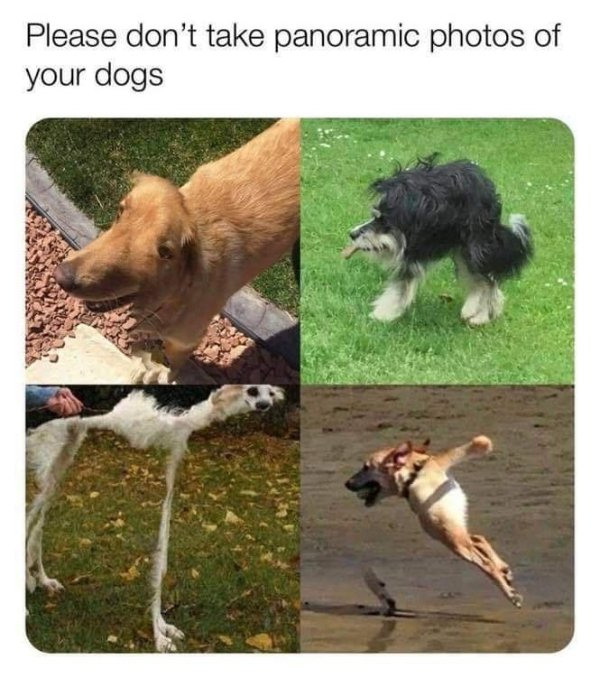 Random Funny Memes (32 pics)