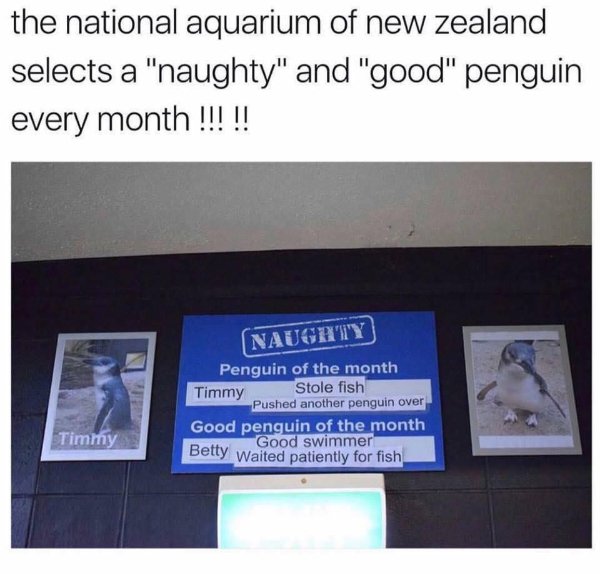 Random Funny Memes (32 pics)