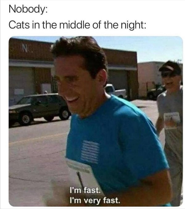 Random Funny Memes (32 pics)
