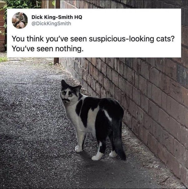 Random Funny Memes (32 pics)
