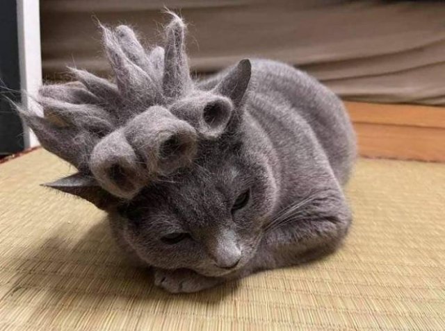 Acid Picdump 1 (86 pics)