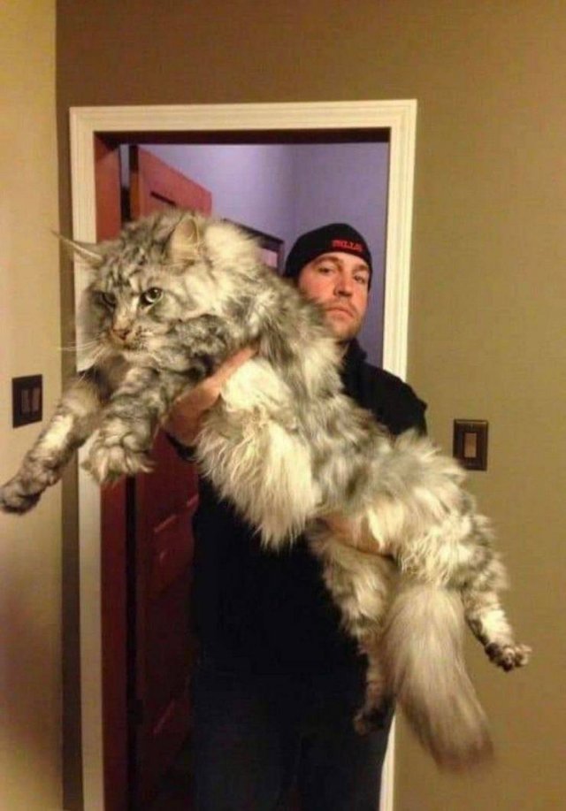 Acid Picdump 1 (86 pics)