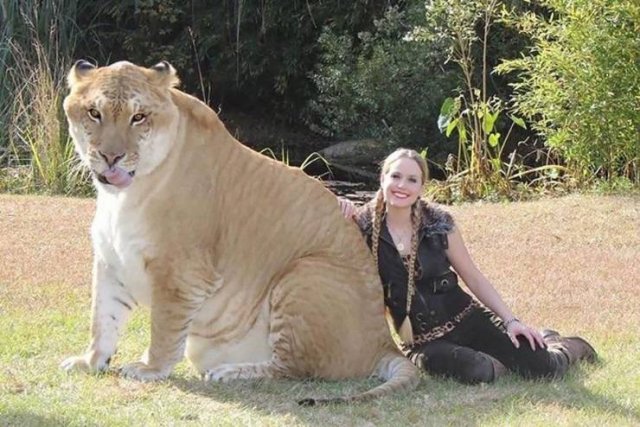 Acid Picdump 1 (86 pics)