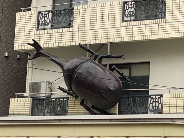 Acid Picdump 1 (86 pics)