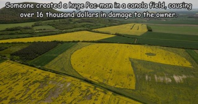 Acid Picdump 2 (47 pics)