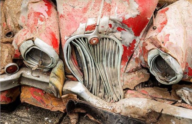 Try To Guess The Price For These Vintage 'Jaguar' Remains (14 pics)