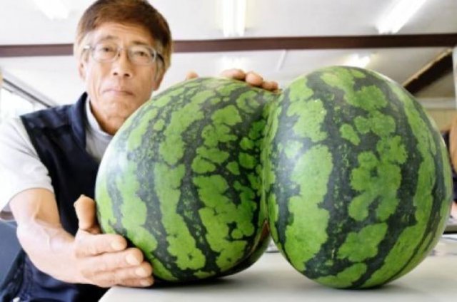 Acid Picdump 2 (47 pics)
