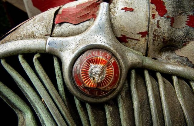 Try To Guess The Price For These Vintage 'Jaguar' Remains (14 pics)
