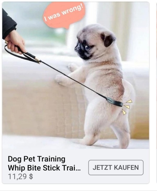 Wish.com Ads (28 pics)