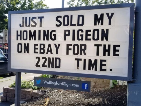 Funny Gas Station Signs (45 pics)