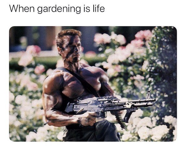 Action Hero Memes (35 pics)