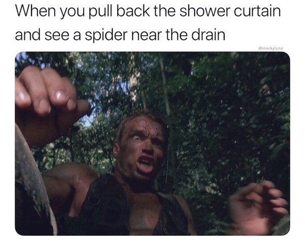 Action Hero Memes (35 pics)