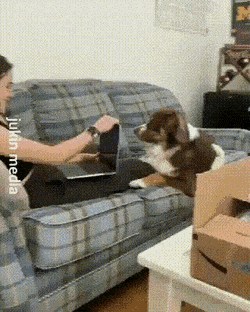 Acid Gifdump, May 25 (25 gifs)
