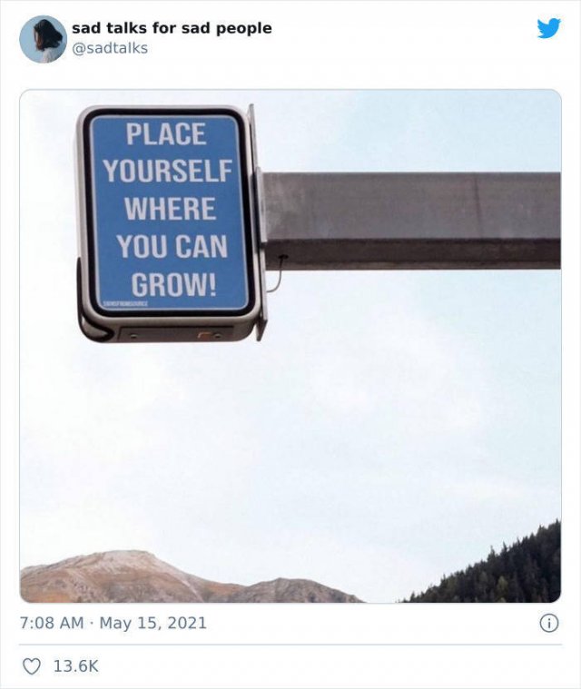 Wise Thoughts (35 pics)