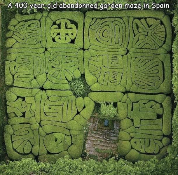 Acid Picdump 2 (84 pics)