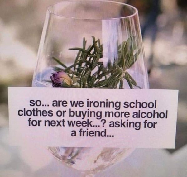 Wine Memes (29 pics)