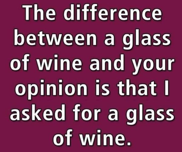 Wine Memes (29 pics)