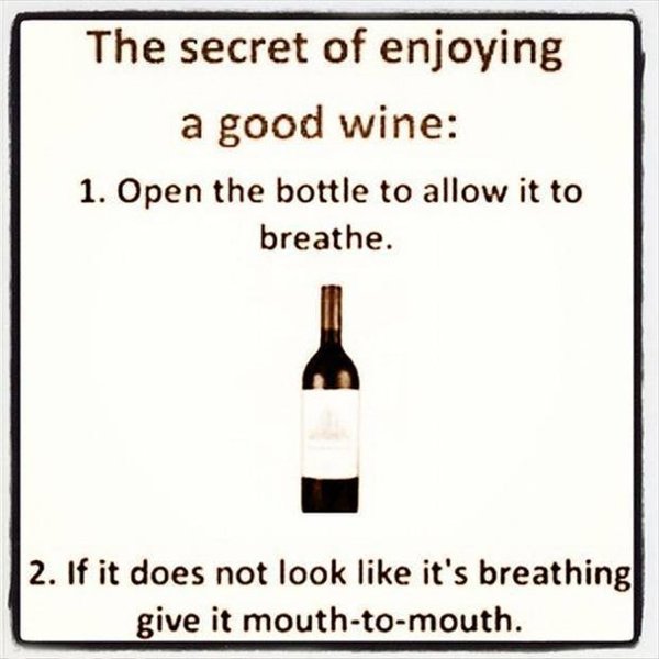 Wine Memes (29 pics)