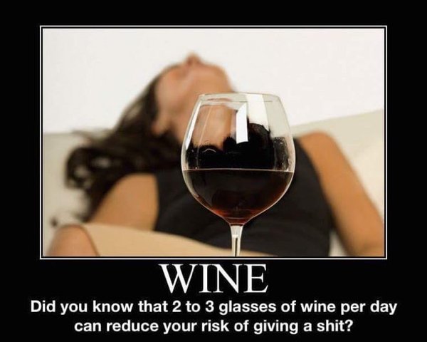 Wine Memes (29 pics)