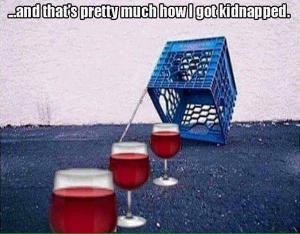 Wine Memes (29 pics)