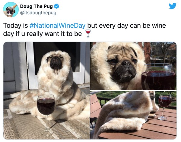 Wine Memes (29 pics)