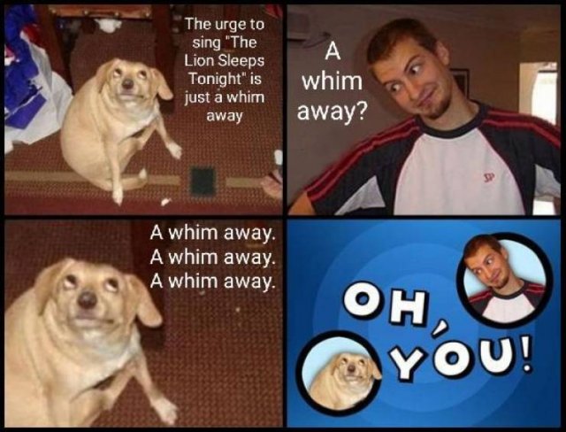 Acid Picdump 2 (84 pics)