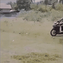 Acid Gifdump, May 25 (25 gifs)