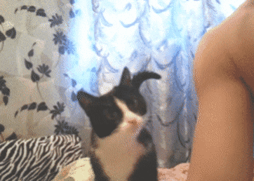 Acid Gifdump, May 25 (25 gifs)