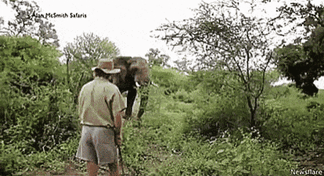 Acid Gifdump, May 25 (25 gifs)