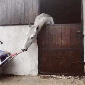 Acid Gifdump, May 25 (25 gifs)