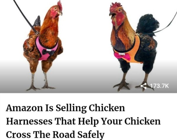 You Definitely Need These Things (31 pics) You Definitely Need These Things (31 pics)